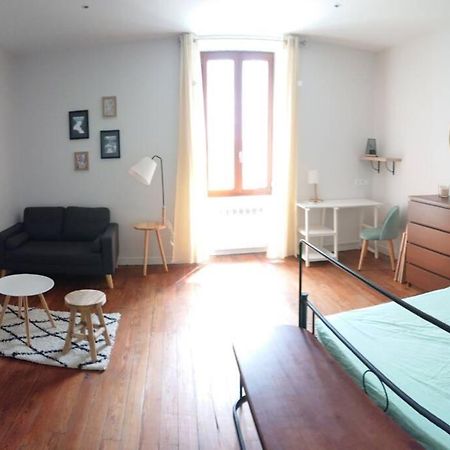 Le Beausejour - Cosy T2 - Business Ou We - Gare Leilighet Bellegarde-sur-Valserine Eksteriør bilde